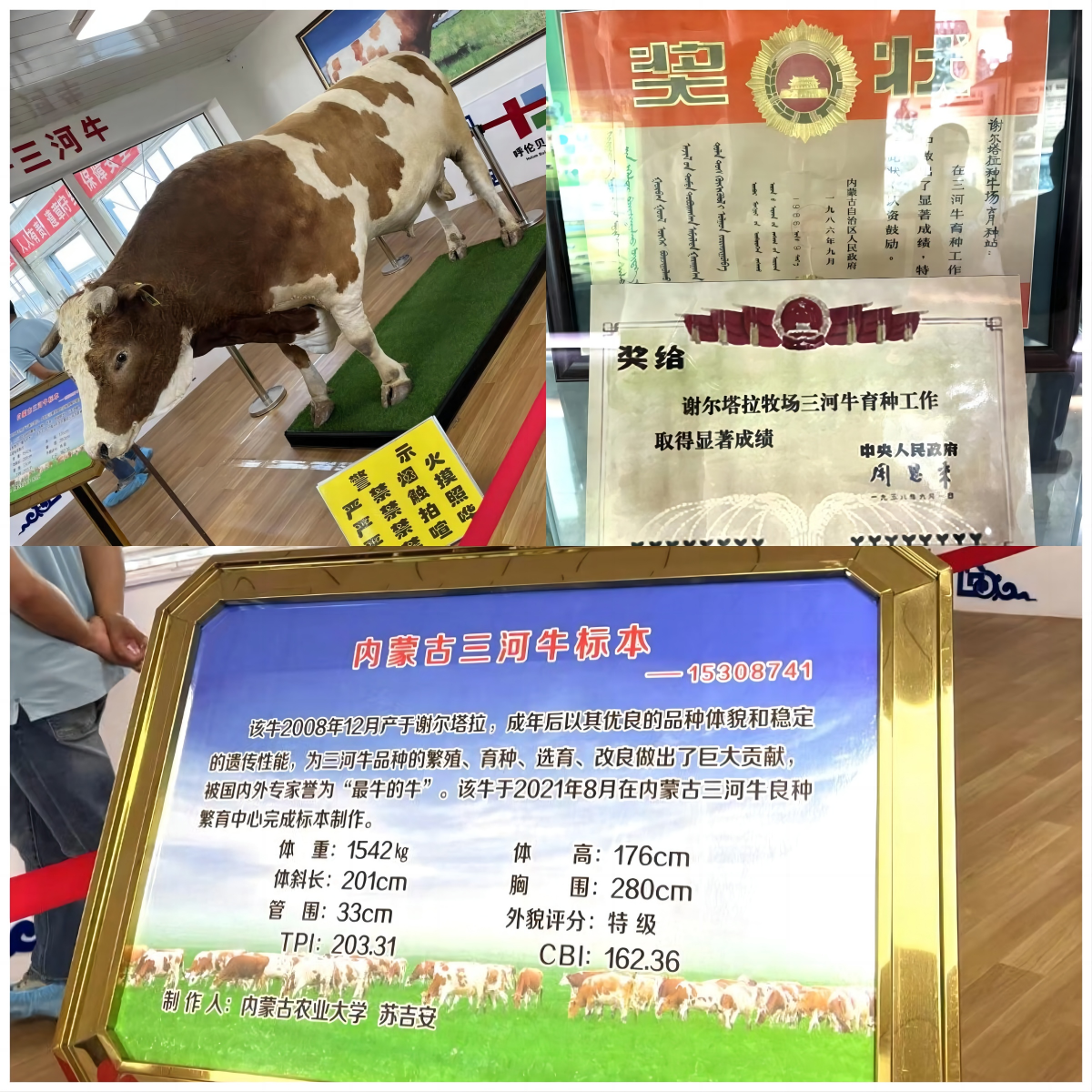 WPS拼圖0.png